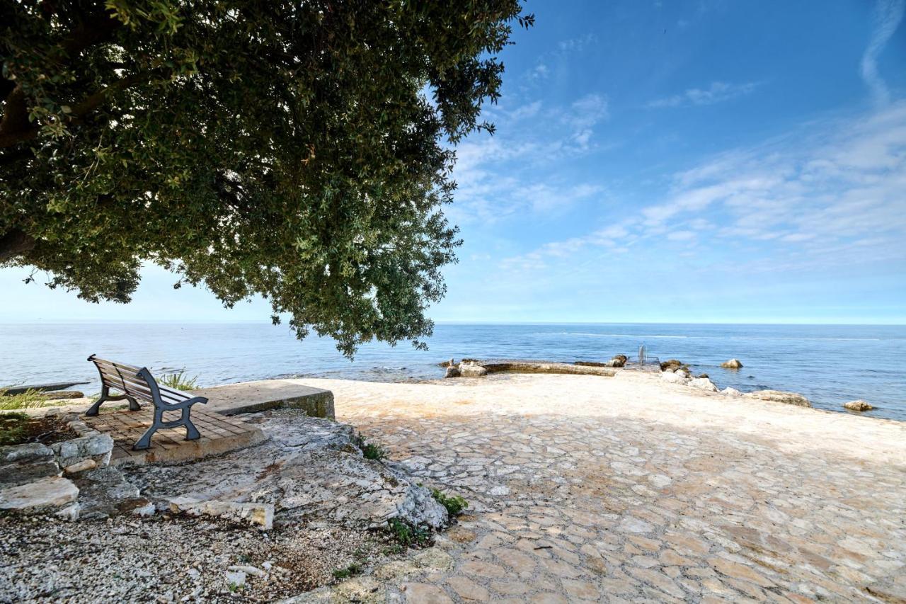 Holiday park Ulika Mobile Homes - Naturist 4*